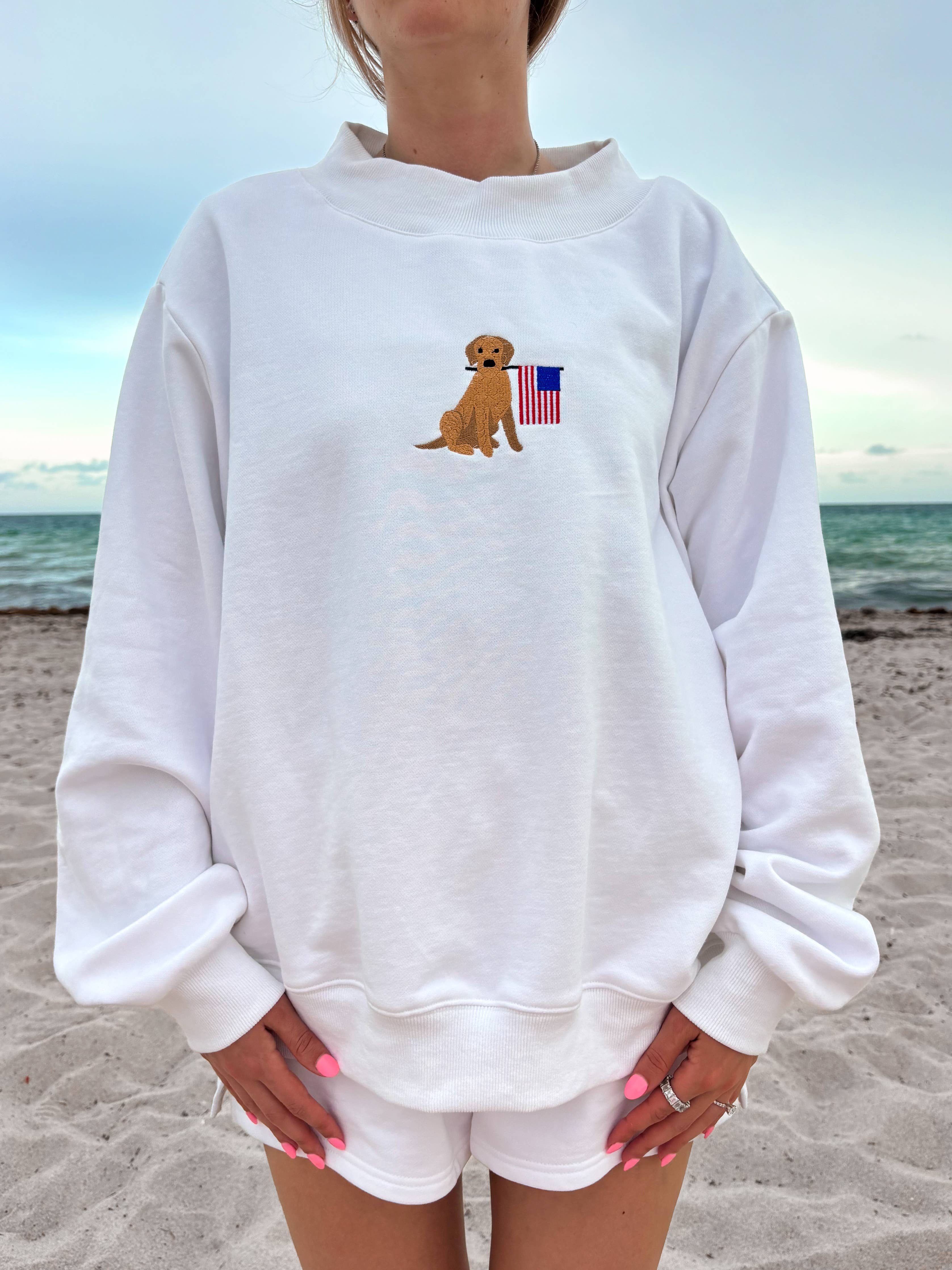 White American Flag Dog Set