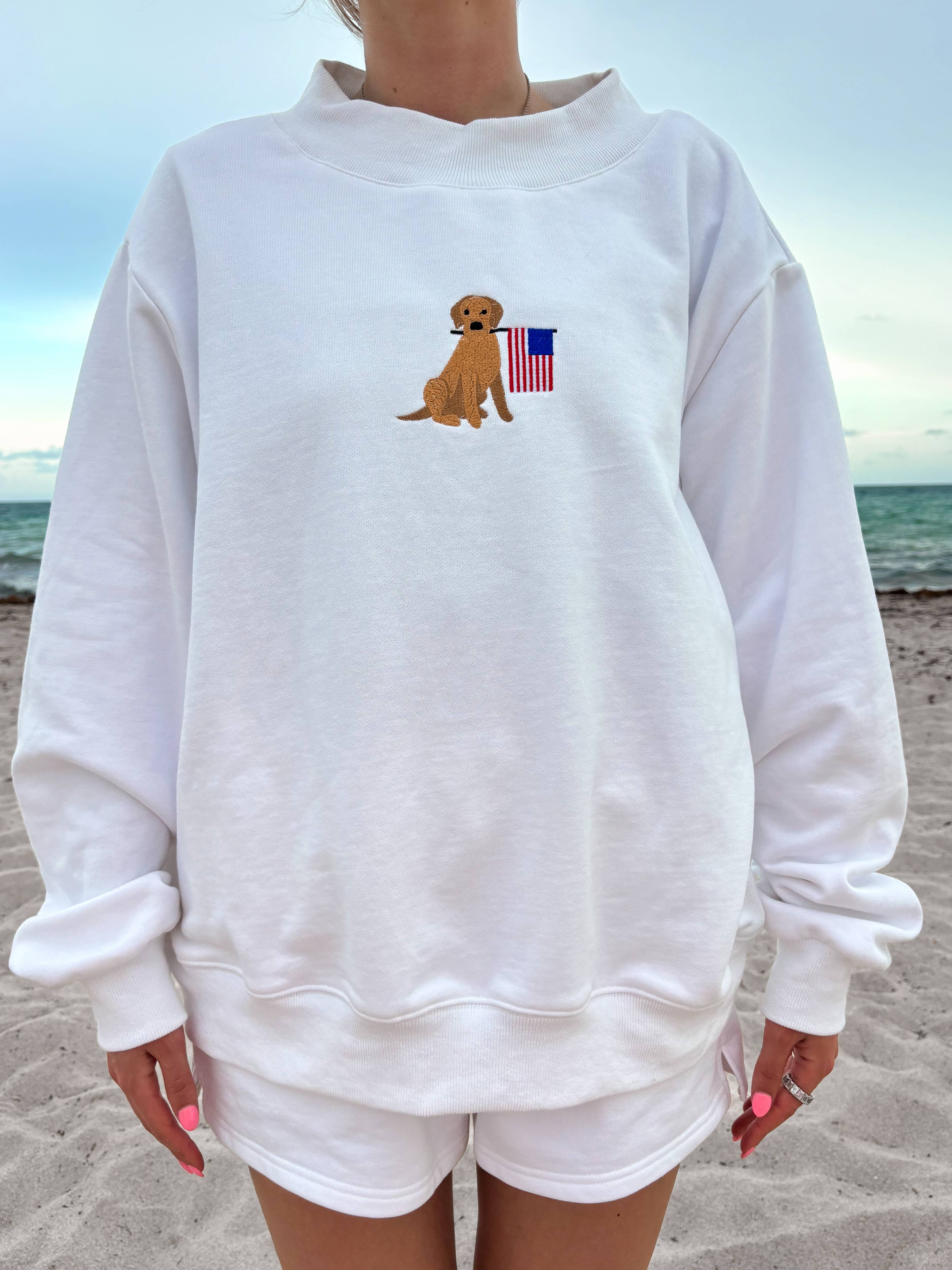 White American Flag Dog Set